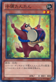 子狸 当当