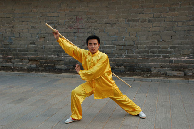  p>六合棍是一种武术棍法,源于北派少林正统.