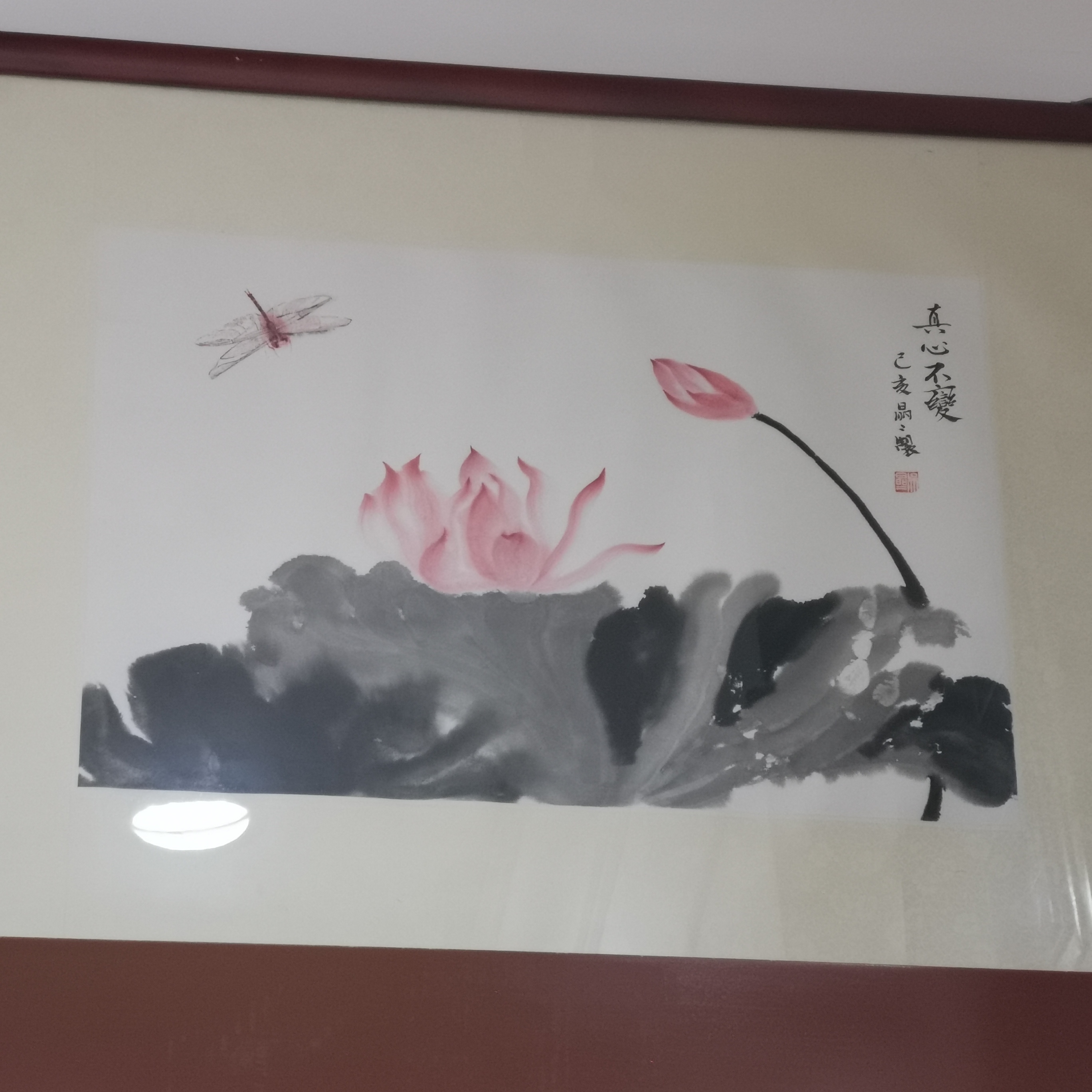 吴晶晶,1983年生于福建福州,2003考入<a