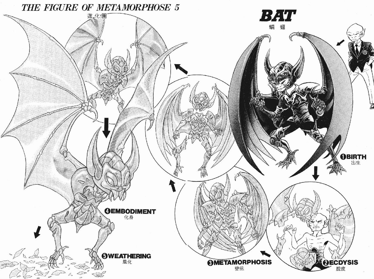  p>《静斗士·翔》 a href="#" data-lemmaid="267187">日本漫画 /a>