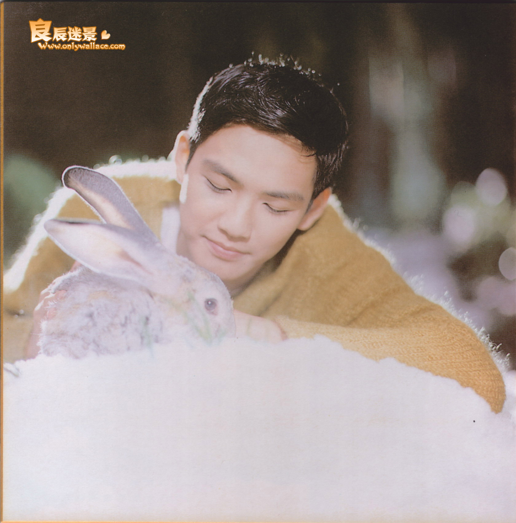  p>钟汉良(wallace chung),1974年11月30日出生于 a target="_blank"