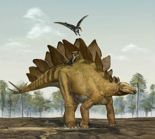  p>剑龙类,也叫板龙类,是动作缓慢,四足行走的植食性恐龙,它们的身体