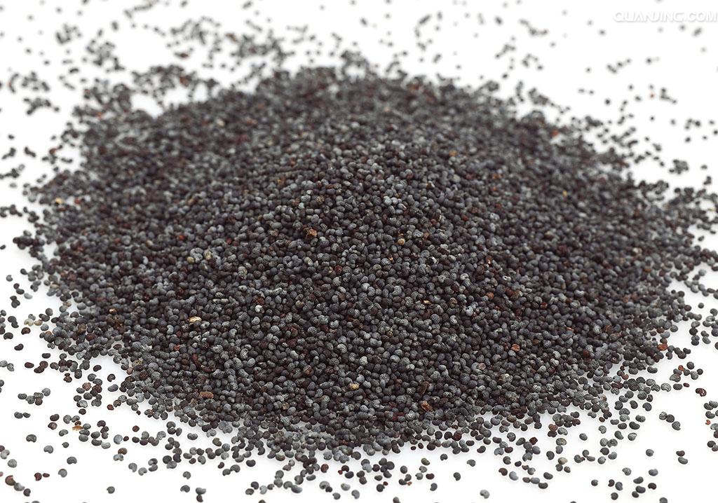  p>罂粟籽,又名 a href="#" data-lemmaid="1001909">御米 /a>, a