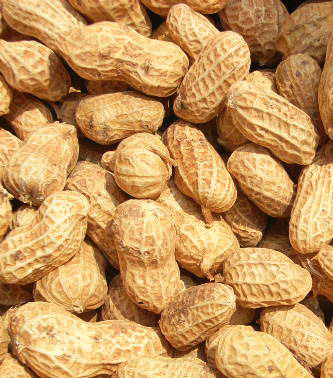  p>炒花生(fried peanuts)属于 a target="_blank" href="/item/家常