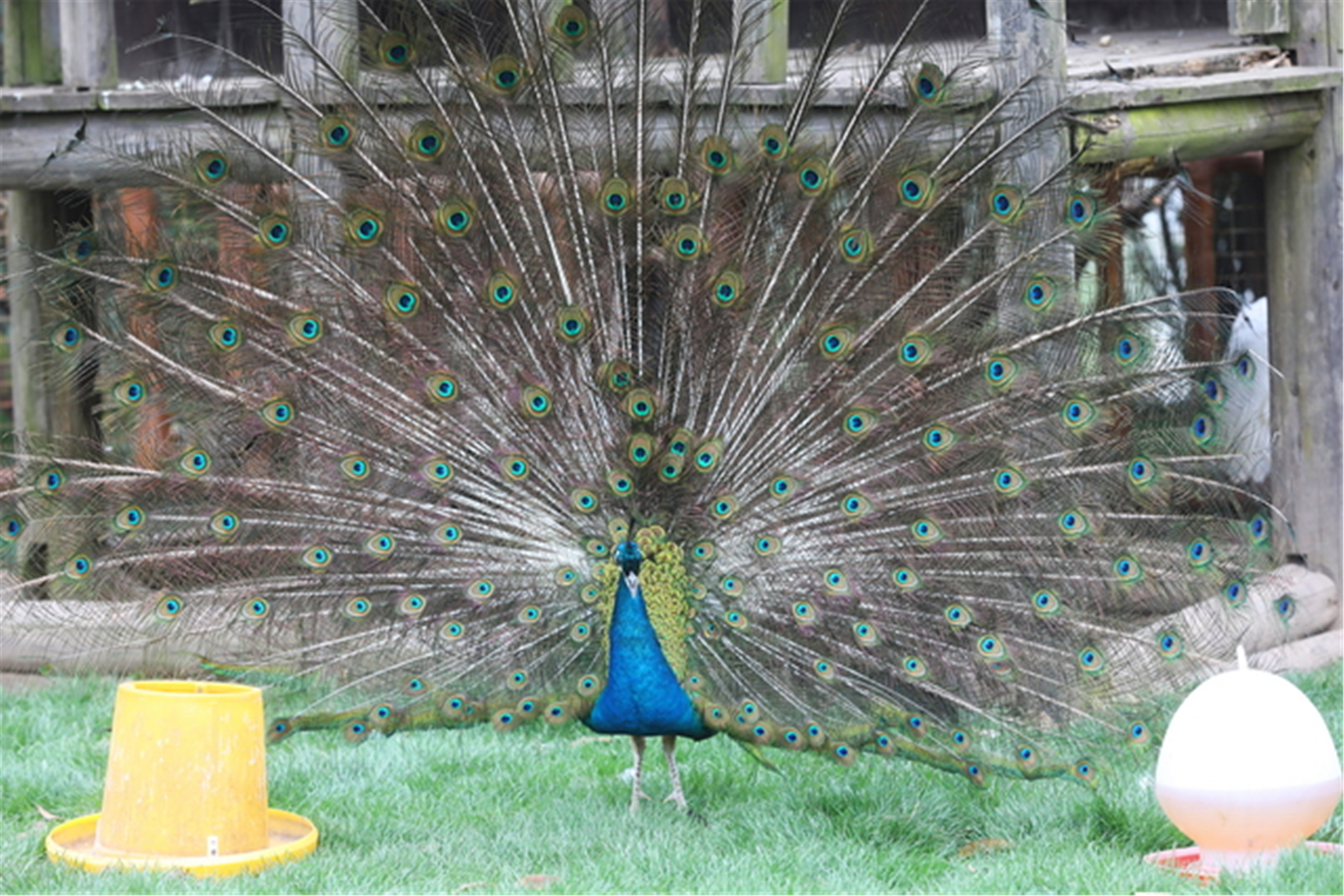 苏州江南农耕园