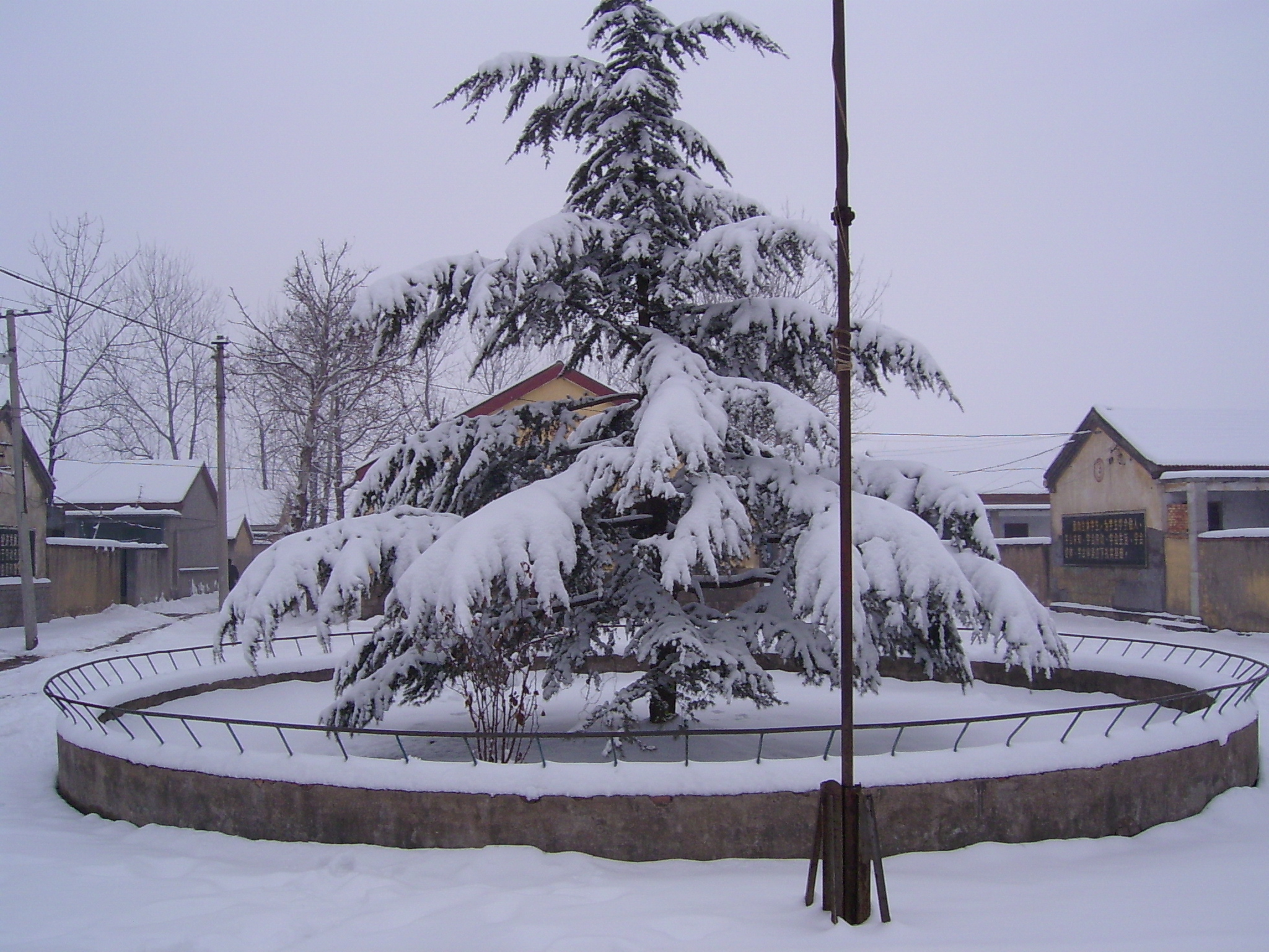 东海县双店中学