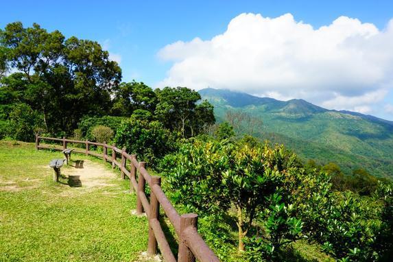 大帽山郊野公园