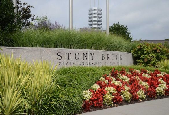 纽约州立大学石溪分校