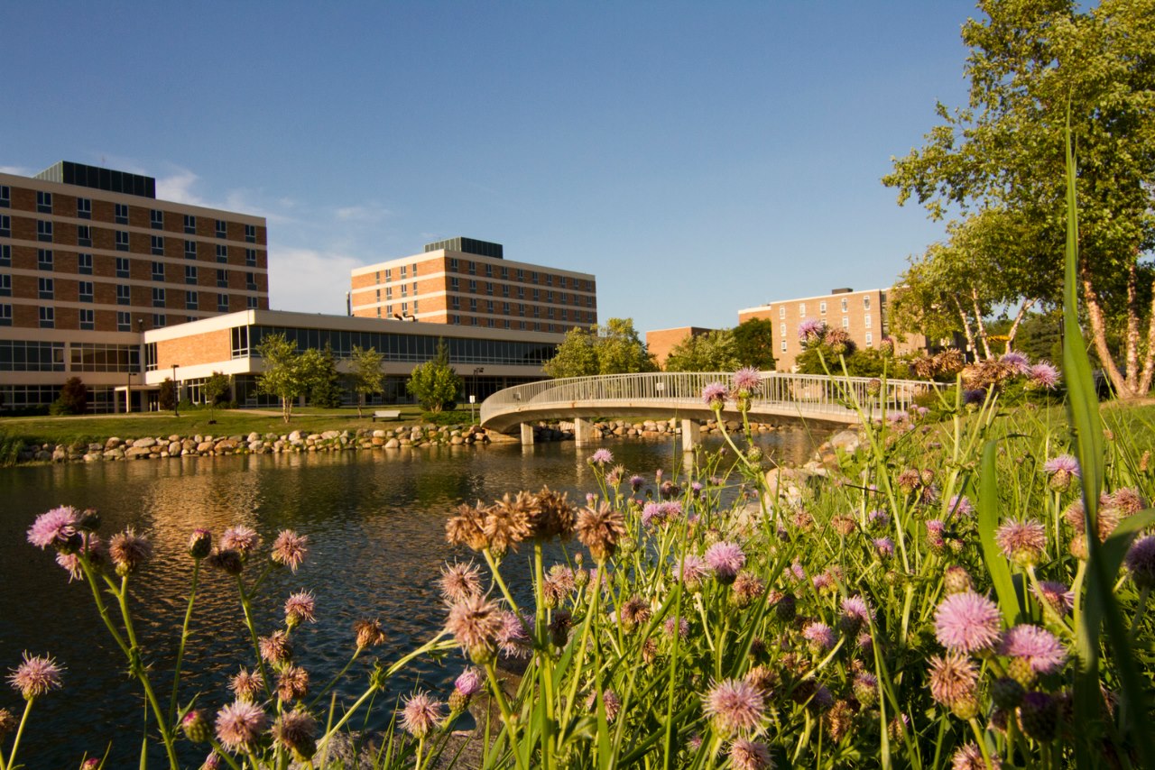 奥克兰大学美国