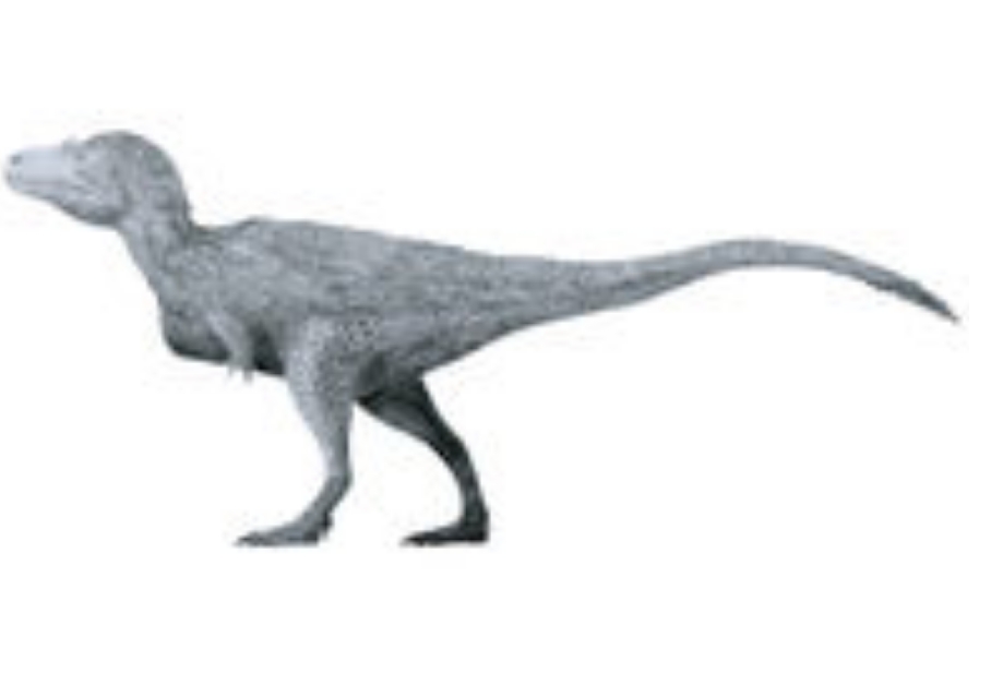 芦沟龙(lukousaurus)