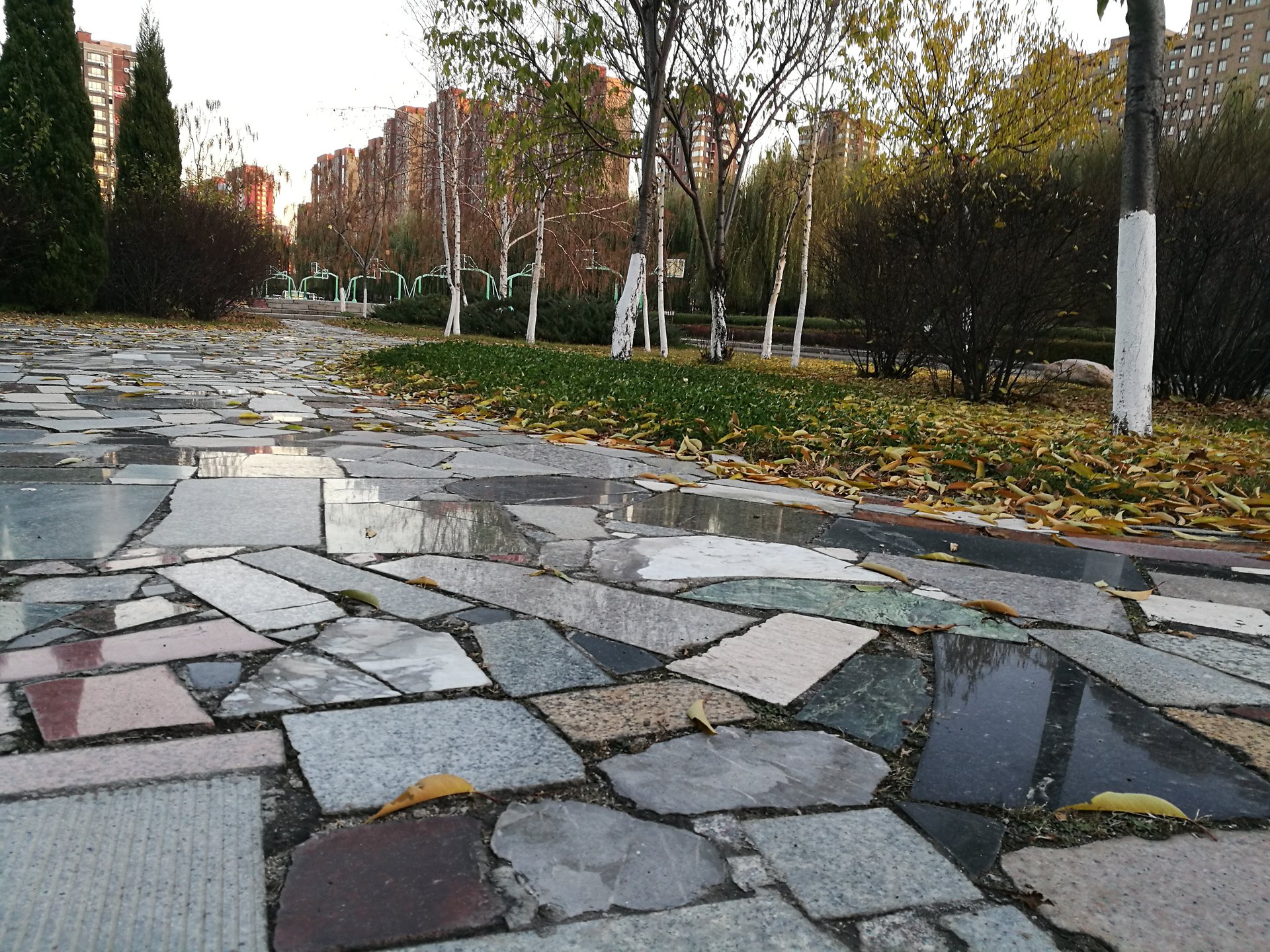 data-lemmaid="131590">抚顺 /a>市第二中学简称抚顺二中,是 a target