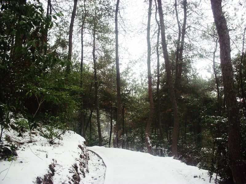 昭阳公园