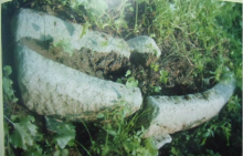 鹅庄宋代文物，石臼，石碾