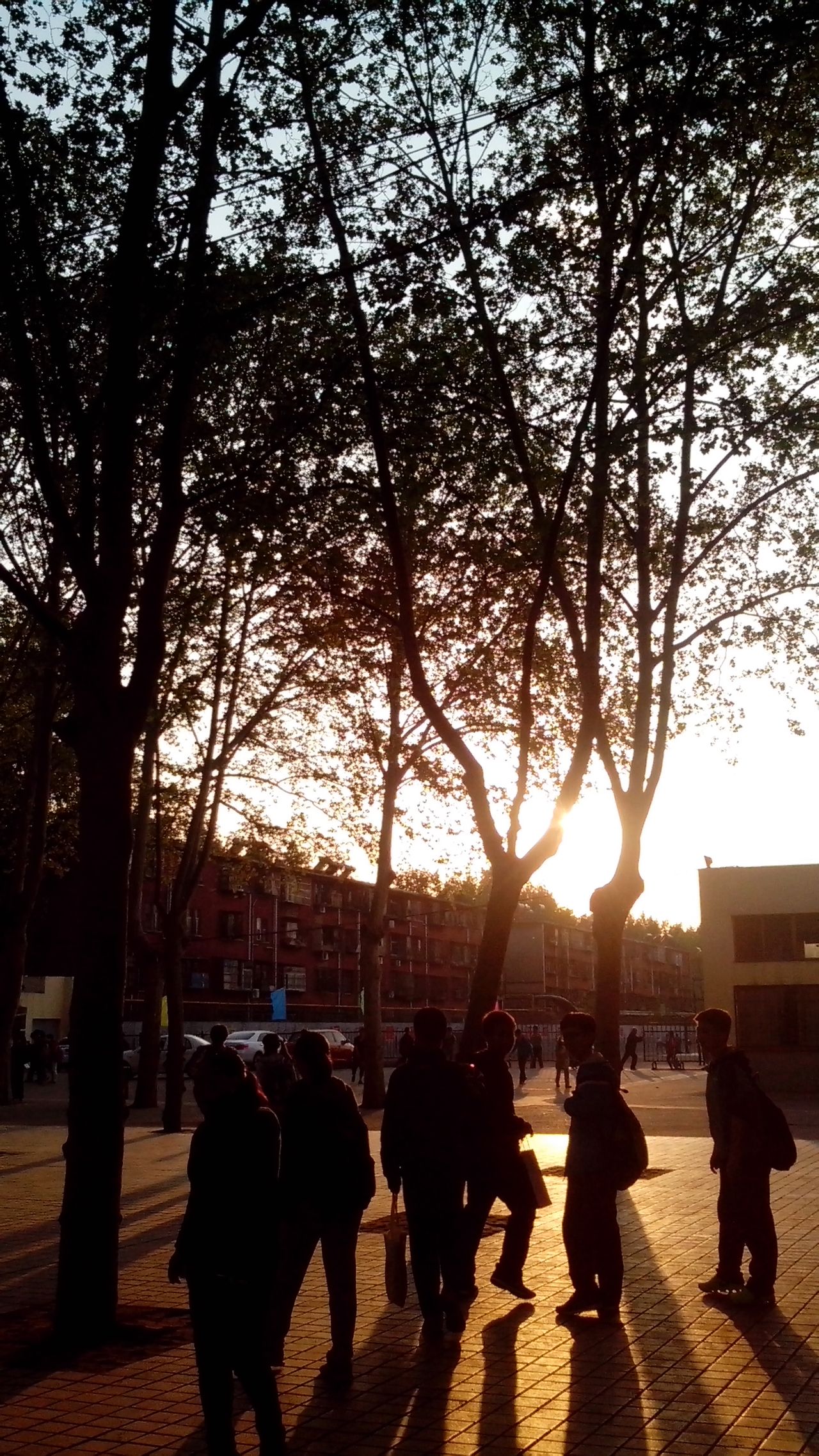  p>东方二中原名拖二中,位于十三朝古都洛阳,有着丰厚的文化底蕴,是