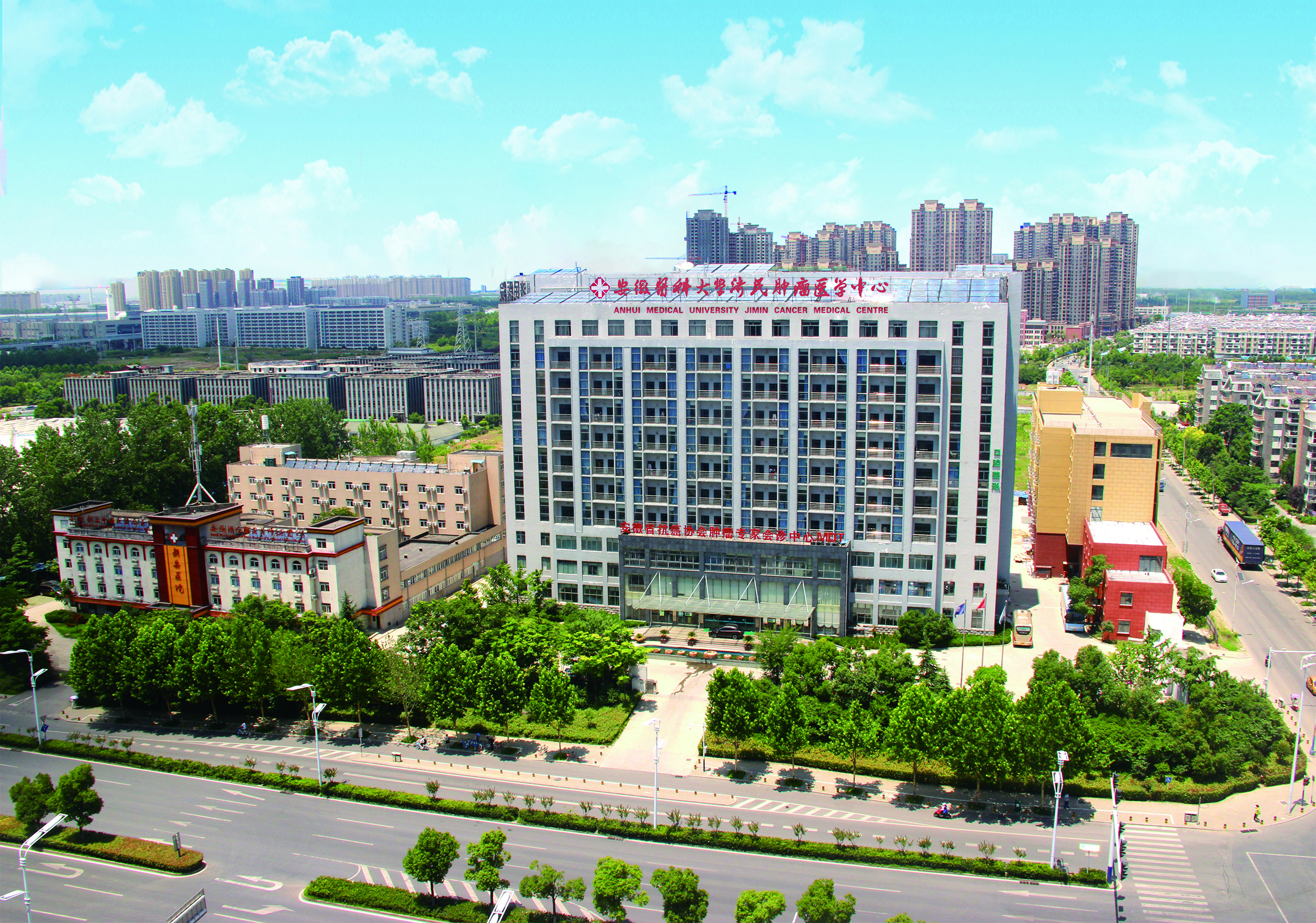 蚌埠医学院附属医院（安徽省肿瘤医院）代挂号口碑高效率快的简单介绍