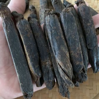 黑参（玄参科马先蒿属植物）_百度百科