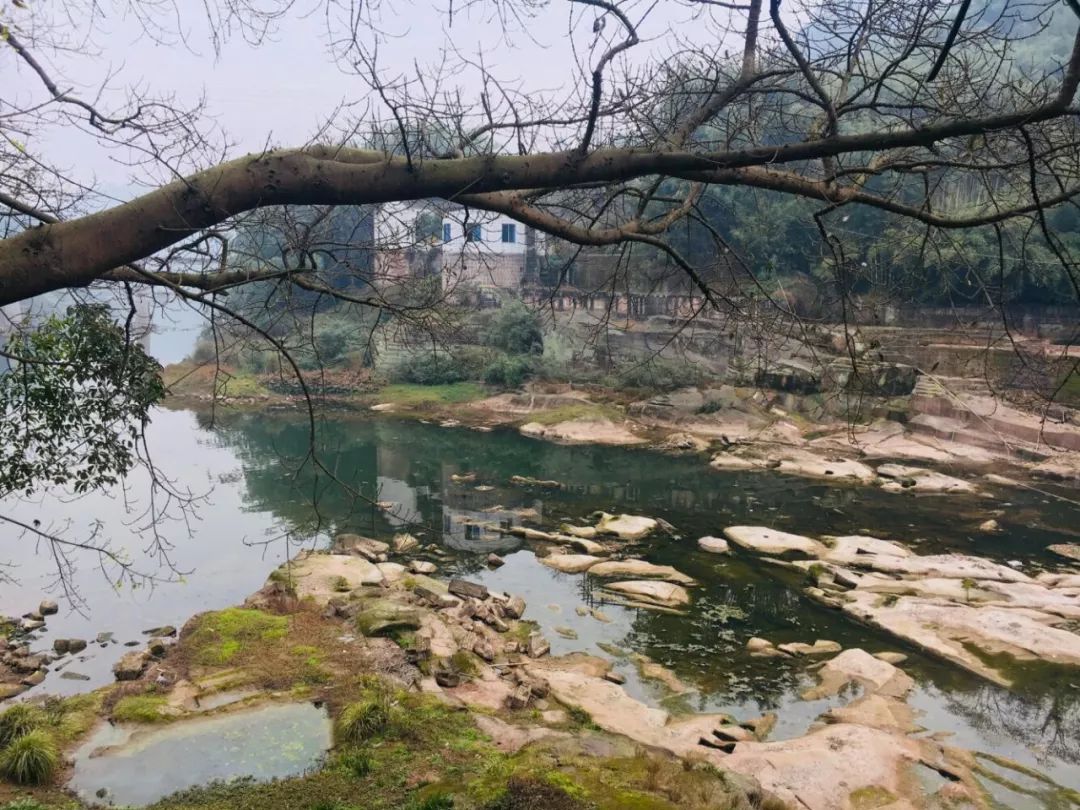 data-lemmaid="15626925">四川省 /a>凉山彝族自治州德昌县,地处 a