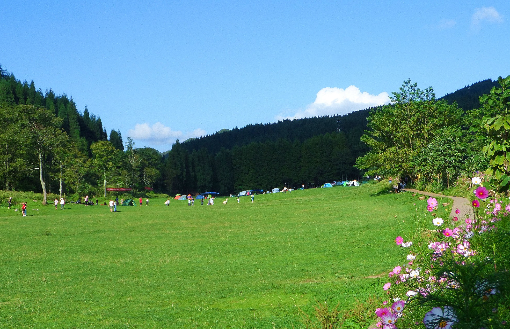 武陵山国家森林公园