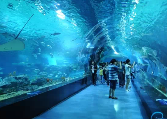  p> b>邯郸海洋公园 /b>,又称 b>邯郸海洋馆 /b>,位于河北省邯郸陵园