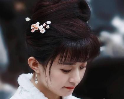盛明兰（电视剧《知否知否应是绿肥红瘦》中的女主角）_百度百科