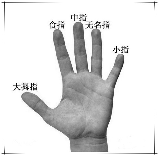 人的第二个手指头为何称“食指”？_百科TA说