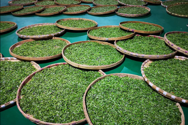  p>朵贝贡茶是贵州十大历史传统名茶之一,产于贵州省 a target="