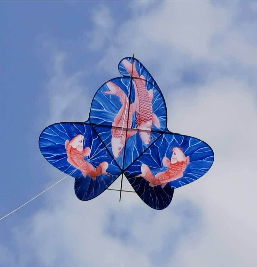 p data-id="2zz3bydxzee">云南风筝是正三角结构硬翅类传统风筝.