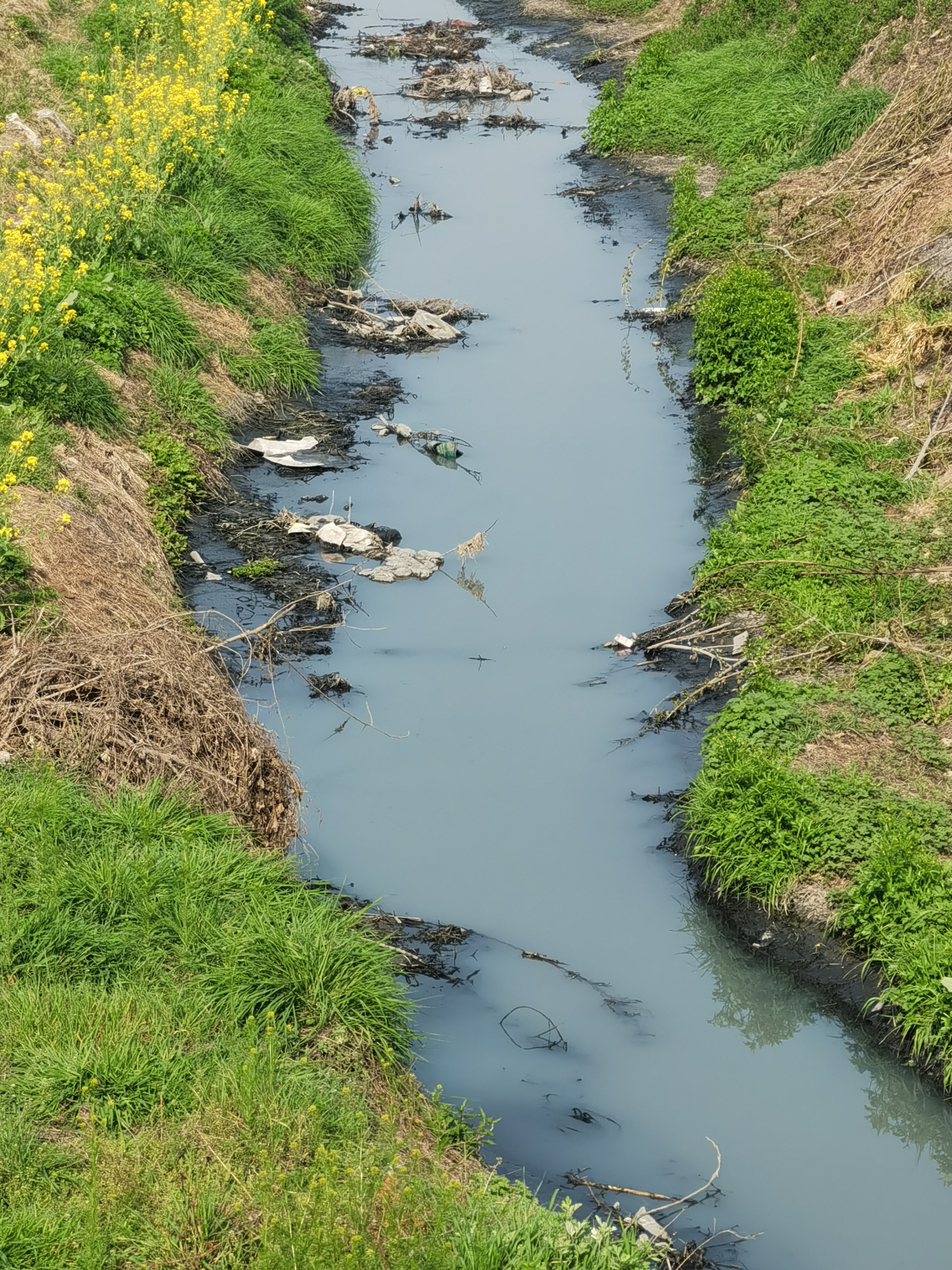 焦作山门河水污染事件