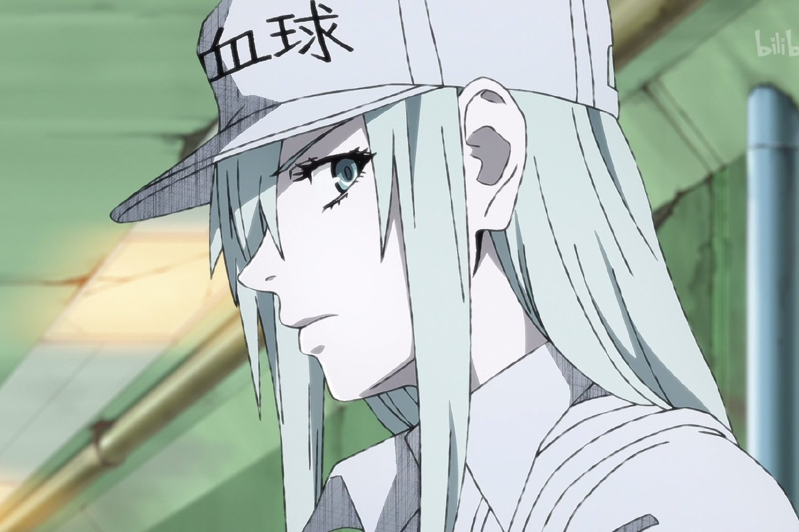 《 a target="_blank" href="/item/工作细胞black/22858438" data