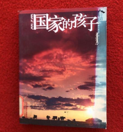 国家的孩子