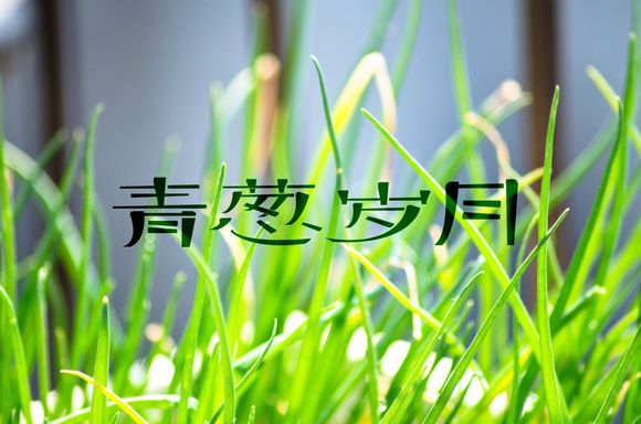 青葱岁月