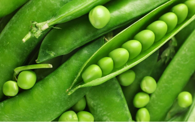 豌豆的食用禁忌有哪些 百科ta说