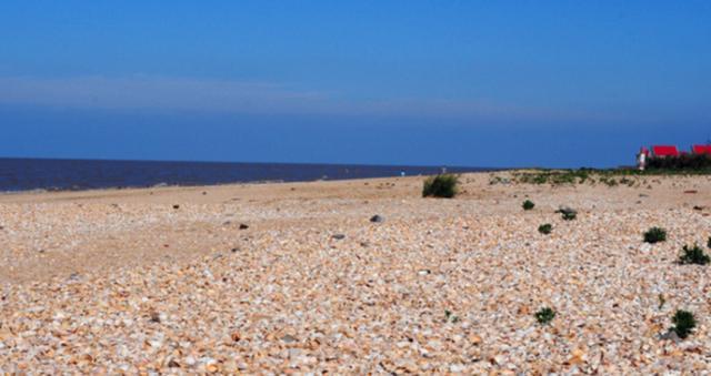 山东省无棣县古贝壳堤