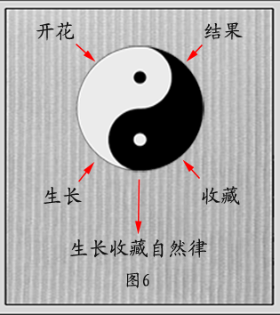 王经石太极图说