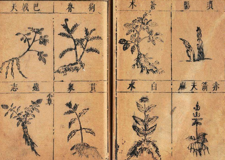 吃荤就是吃肉？持斋就是吃素？其实我们已经误读太久了_百科TA说