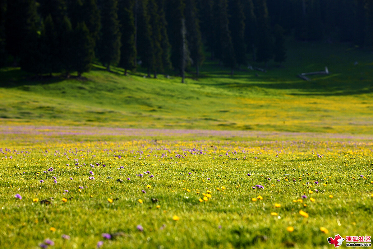  p>准噶尔盆地(英文junggar basin;"噶"为gá),位于中国 a target="