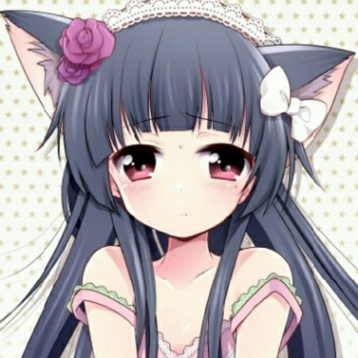 我家有只野生猫娘