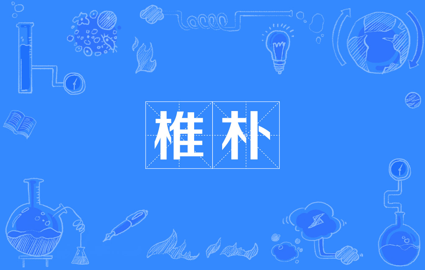  p>椎朴,汉语词语,读音是zhuī pǔ ,意思是是指笨拙,笨重,也指朴实.