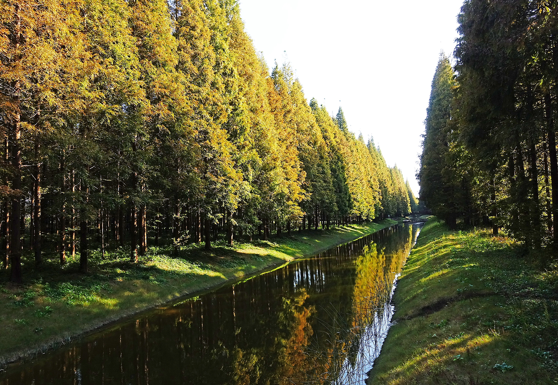 生态森林公园