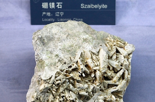  p>硼镁石(ascharite)是一种 a href="#">硼酸盐 /a>矿物,它是提取