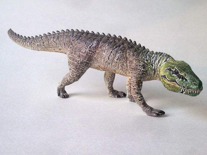 波斯特鳄体长最大为6米,具有较高的巨大头骨,似乎是