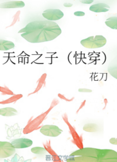 天命之子(快穿)