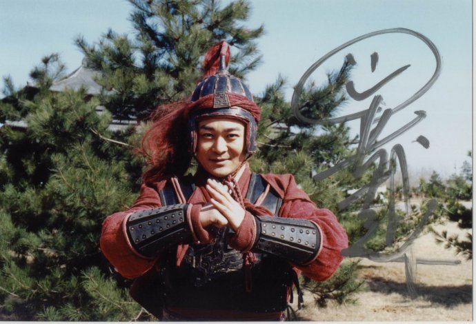 ">林潮翔 /a>执导, a target="_blank" href="/item/胡军/8610" data