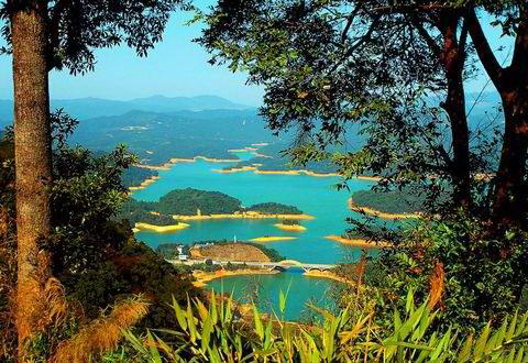 广州流溪河森林公园