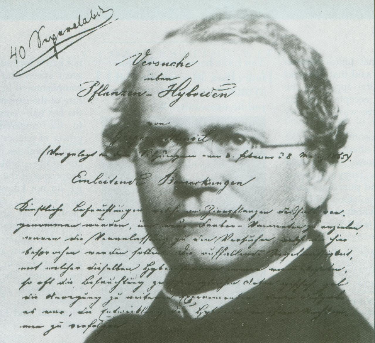  p>格雷戈尔·孟德尔(gregor johann mendel, i>1822年7月20日-1884年