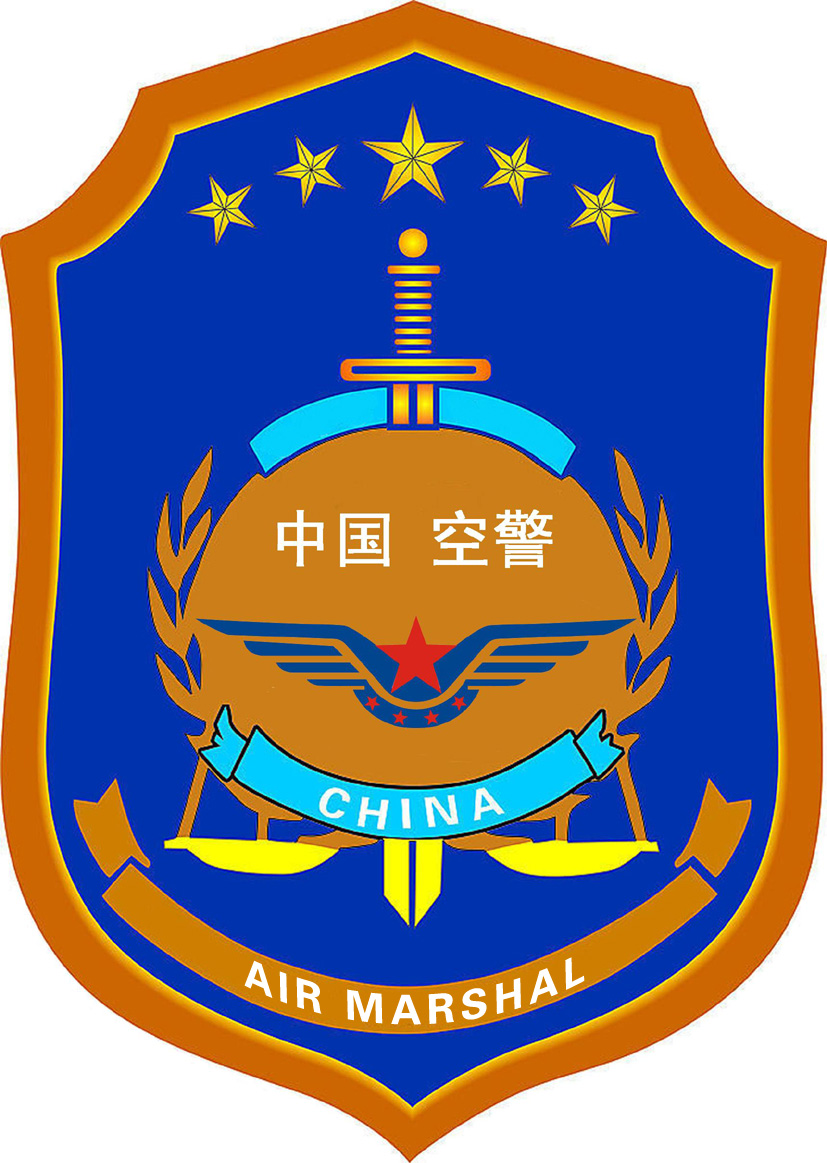  p>空警,即为空中警察.