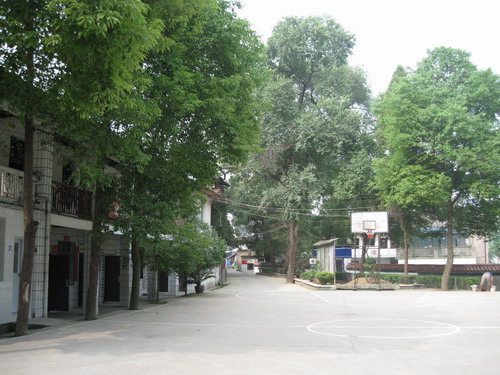 区 /a>沙塘镇位于 a target="_blank" href="/item/柳州市/11044417"