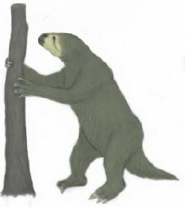 大地懒(megatheriumamericanum)