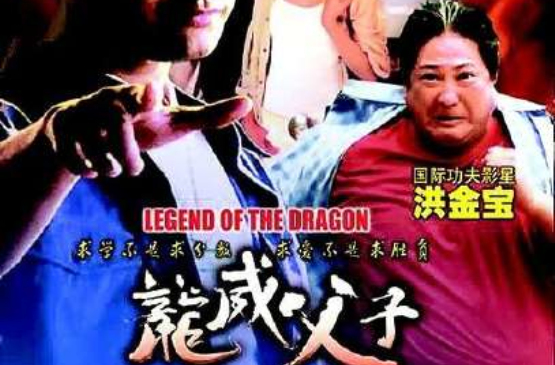 《龙威父子》是 2004年5月8日上映的一部动作电影,本片由导演 a