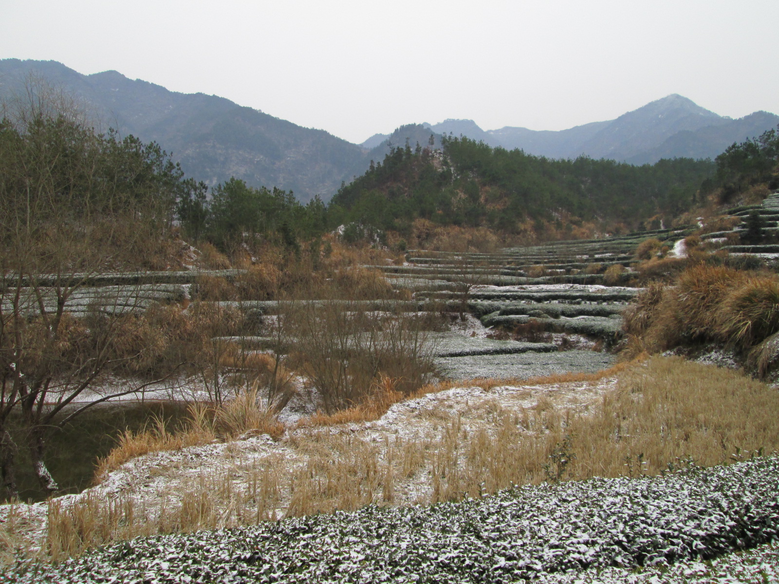  p>东冲河村是一个行政村,湖北省英山县东冲河村位于大别山南麓,鄂皖